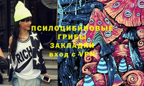 трава Арсеньев