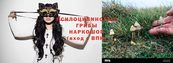 трава Арсеньев